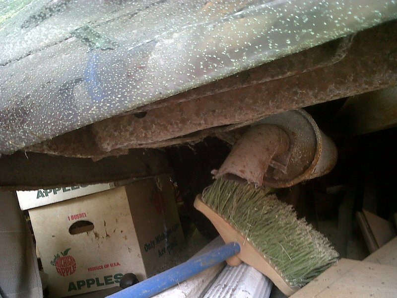 IMG00196-20100801-1218.jpg