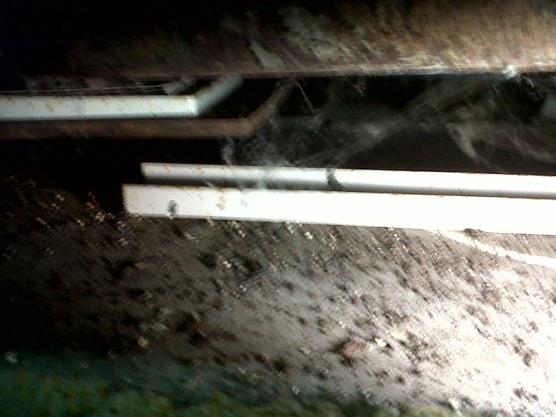 IMG00261-20100807-1454.jpg