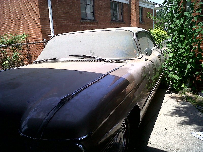 IMG00307-20100813-1401.jpg