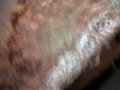 IMG00232-20100807-1445