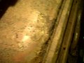 IMG00240-20100807-1448