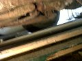 IMG00245-20100807-1450
