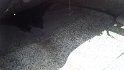 IMG_20160821_122650