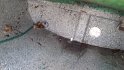 IMG_20160821_140732