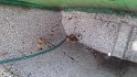 IMG_20160821_140737