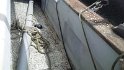 IMG_20160821_140800