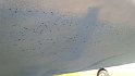 IMG_20160821_160848